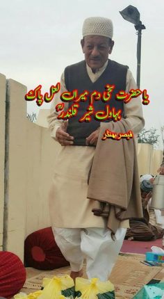 مُلّا رہن دے جھگڑے جنت دے …