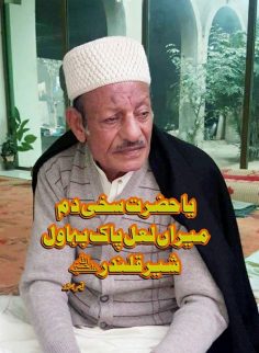 میں پی کی مورت کو پوجوں …